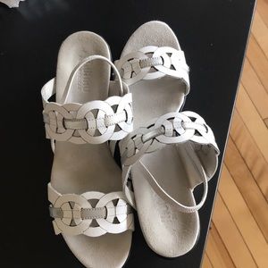 Munro 9 SS (Narrow )